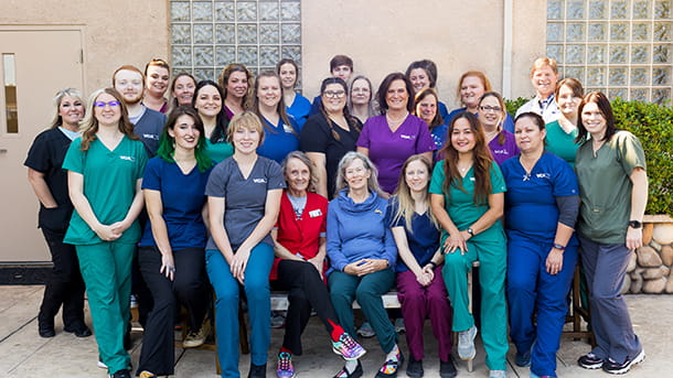 VCA Asher Animal Hospital Team Photo