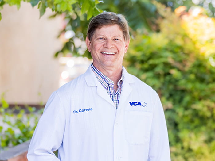 Dr. Larry Correia Staff Photo