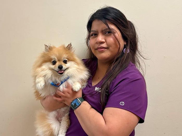 Desiree Torres Staff Photo