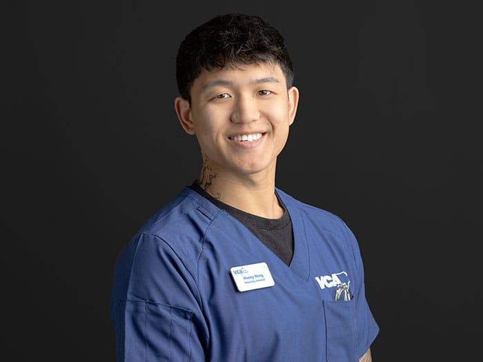 Wesley Wong Staff Photo