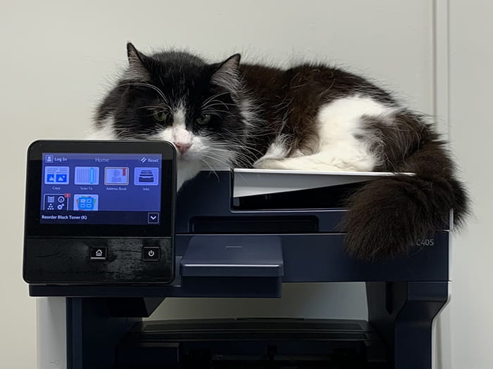 Sylvester Website Photo