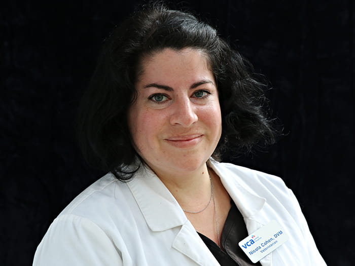 Dr. Nicola Cohen Staff Photo