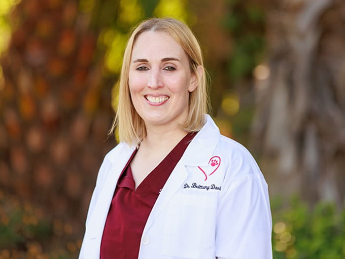 Dr. Brittany Davis Staff Photo