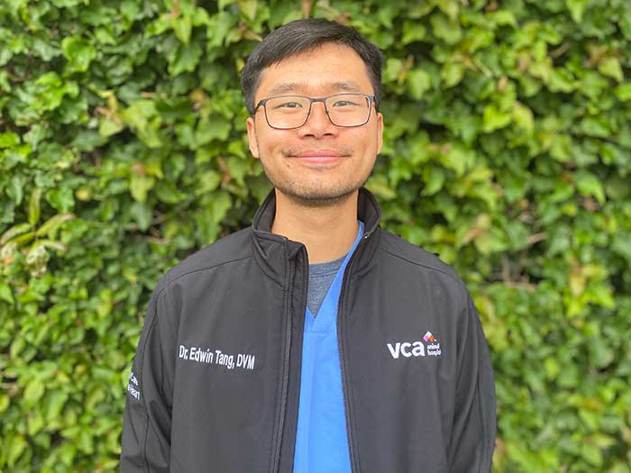 Dr. Edwin Tang Staff Photo