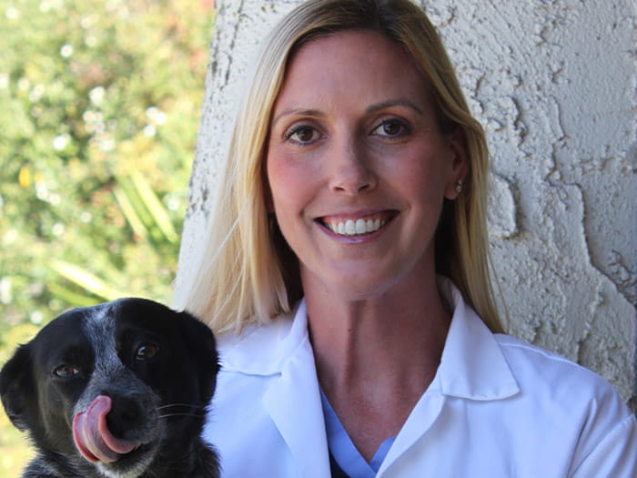 Dr. Aimee Krieger Staff Photo