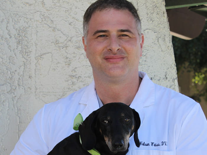 Dr. Nelson Weiss Staff Photo