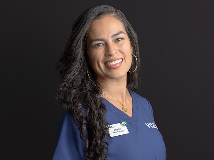 700x525_cottage_AngelinaDeLaCruz