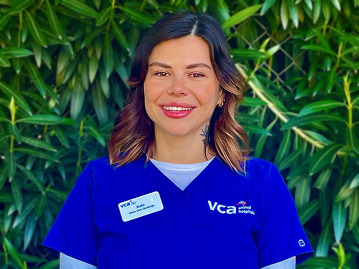 Kelsi Pedroia Staff Photo