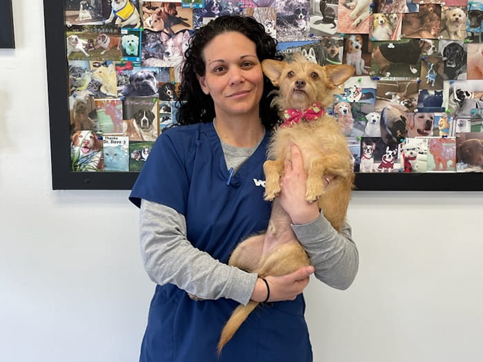 Stephanie Priolo Staff Photo