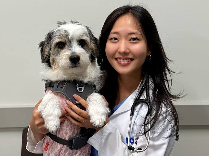 Dr. Michelle Jung Staff Photo