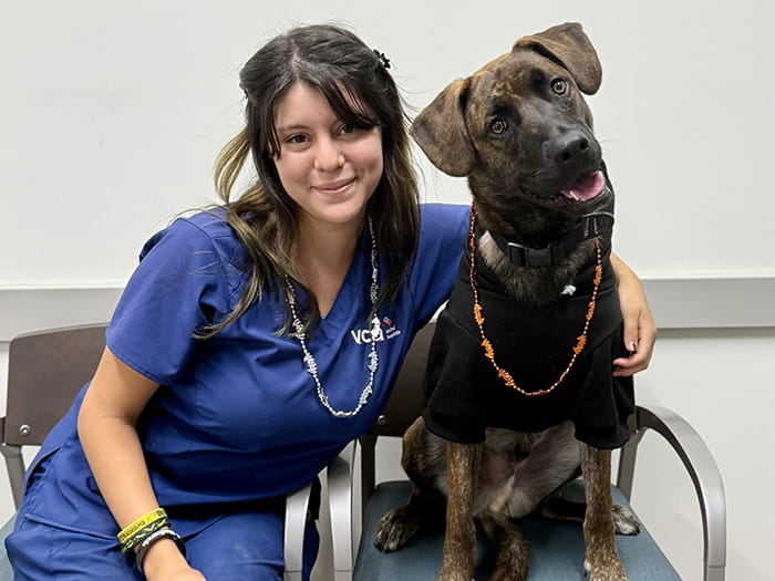 Sophia G. Staff Photo