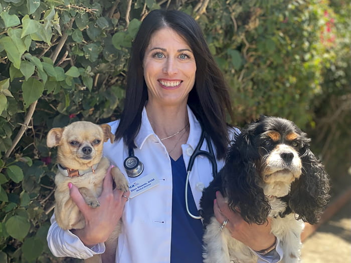 Dr. Dion Steenis Staff Photo