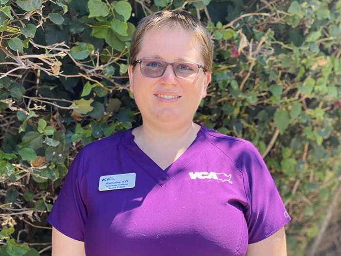 Katherine Adams Staff Photo