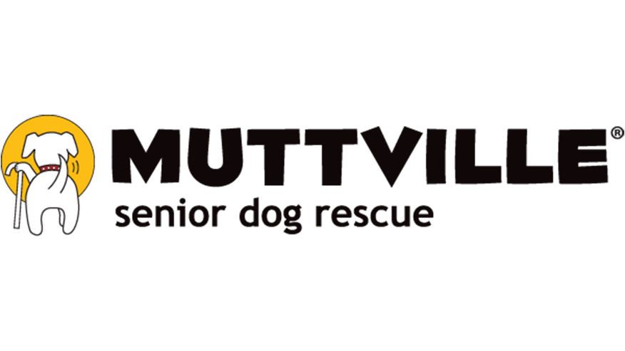 876x493 los gatos CommunityPartner Muttville