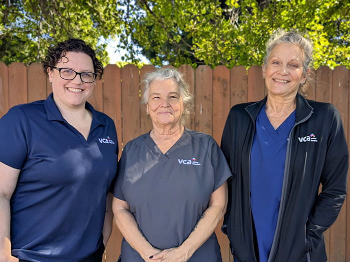 VCA Peninsula Client Services Team