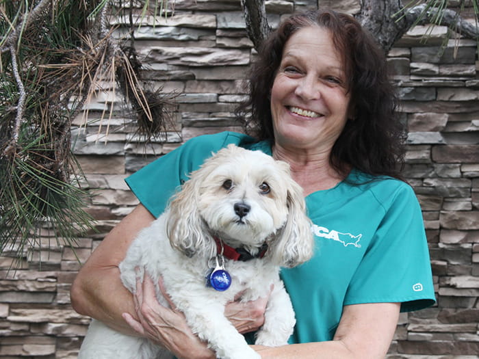 Debbie Staff Photo 2022