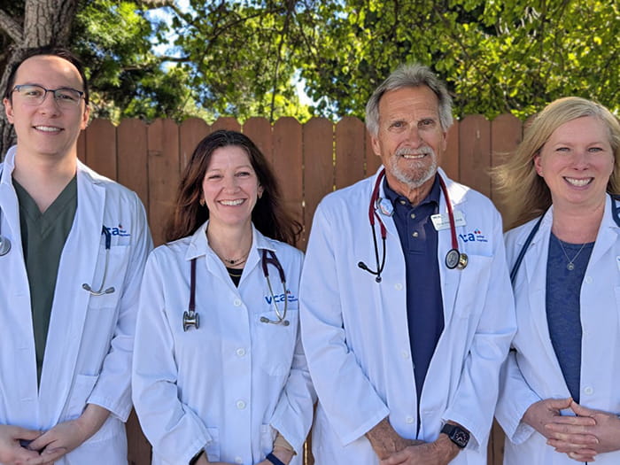 VCA Peninsula Veterinarian Team