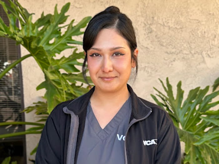 Evelyn M. Staff Photo