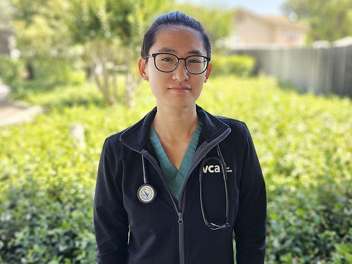 Dr. Yafen Zhen Staff Photo