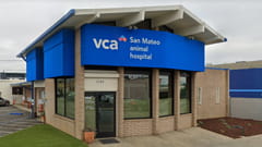 /-/media/2/vca/images/hospitals/united-states/california/san-mateo/galleries/240x135_san-mateo_fah.jpg?rev=eb7493d08aaf4d4c8f235b2e2826a44e