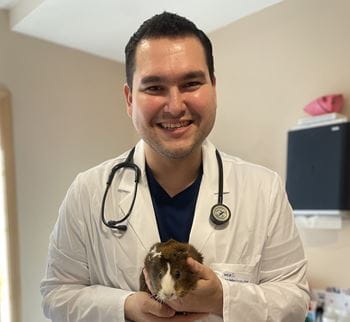 Dr. Vaillard holding a guinea pig