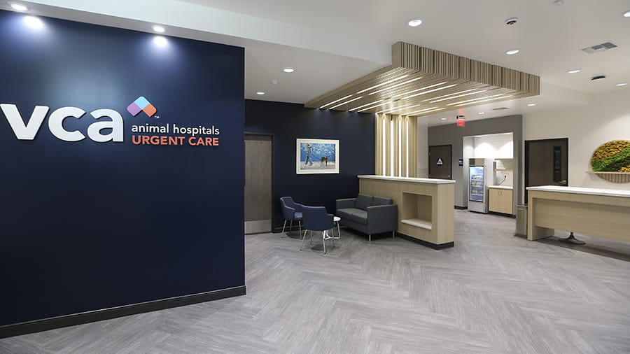 VCA Urgent Care Mar Vista Lobby Photo