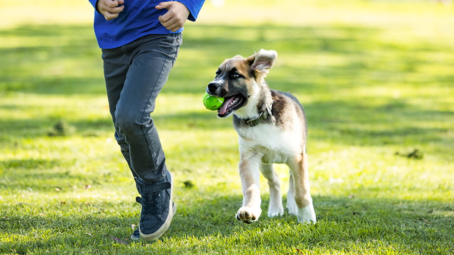 900x506 urgent care mira mesa Gallery1