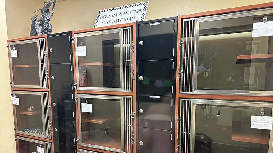 Cat boarding area at VCA Village Park Animal Hospital