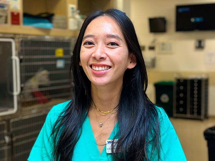 Dr. An To Staff Photo