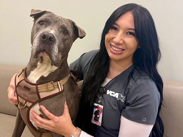 Drea Mclaughlin Staff Photo