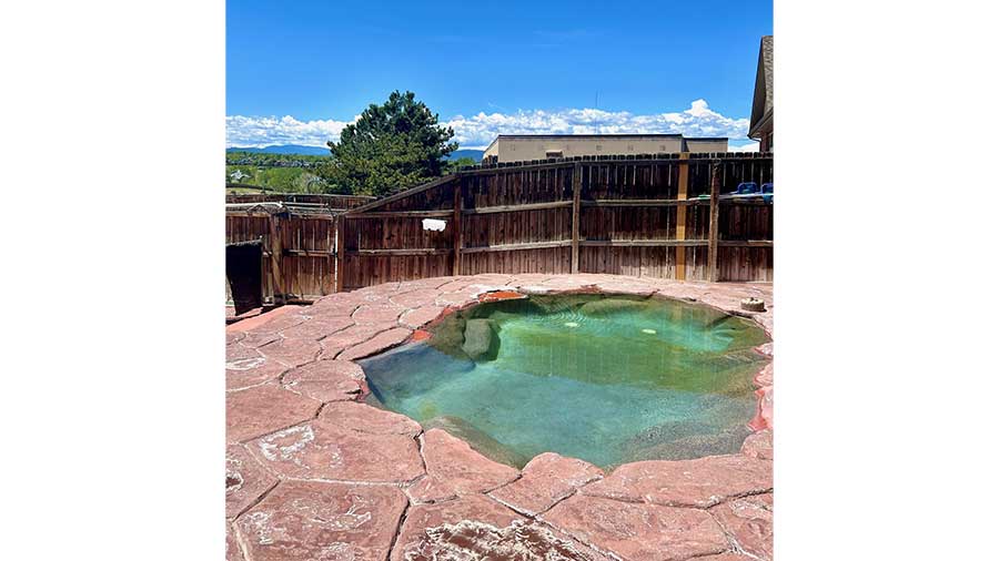 VCA Mountainview Animal Hospital & Pet Lodge - Outdoor Pool