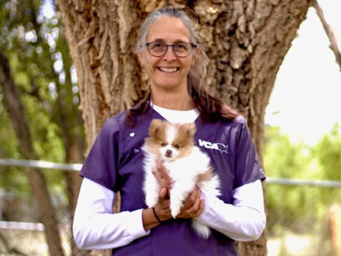 Dr. Wendy Harley Staff Photo