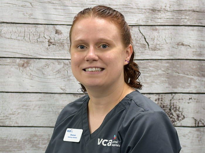 Shannon Healey Staff Photo