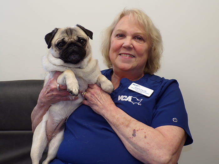 Laurie Lacolla Staff Photo