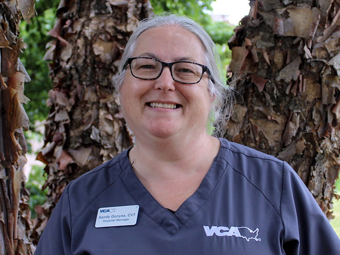 Sandy Gonyea Staff Photo