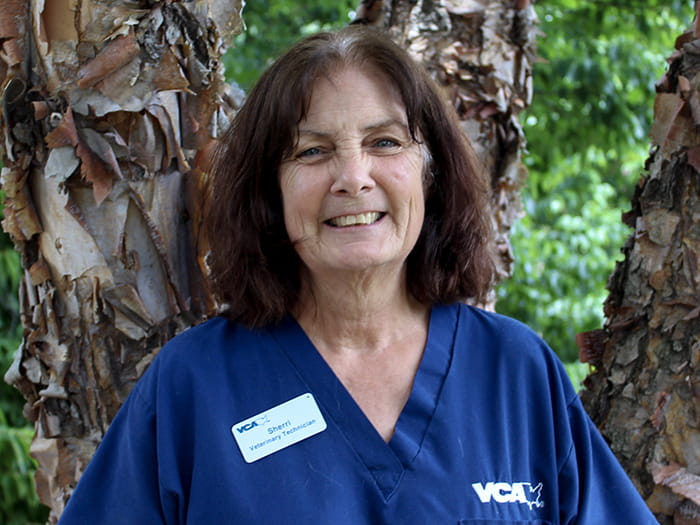 Sherri Varricchio Staff Photo