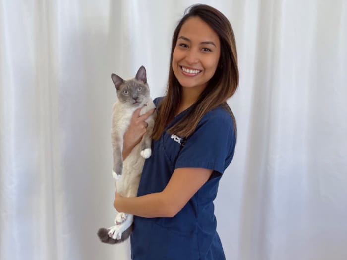 Sofia Martinez-Magallanes