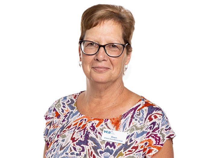 Dawn Anderson Staff Photo