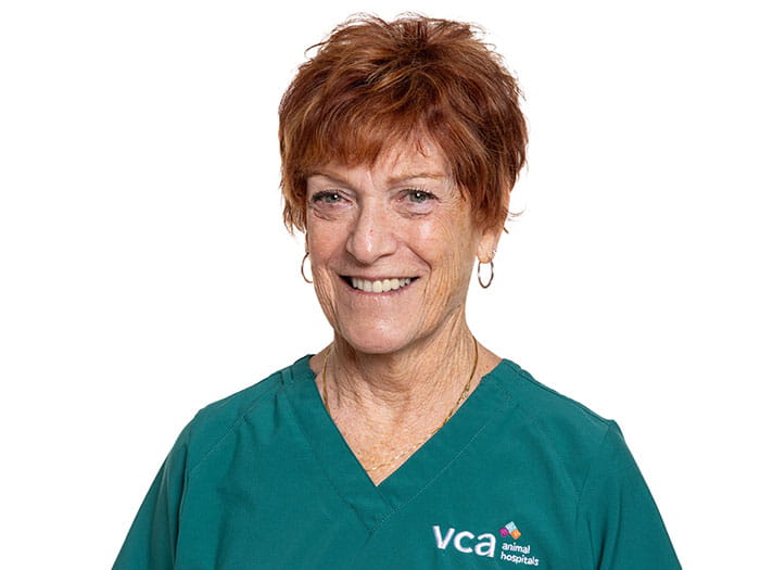 Louise Zona Staff Photo