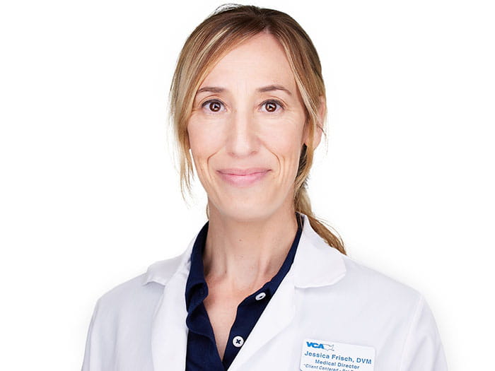 Dr. Jessica Fraisch Staff Photo