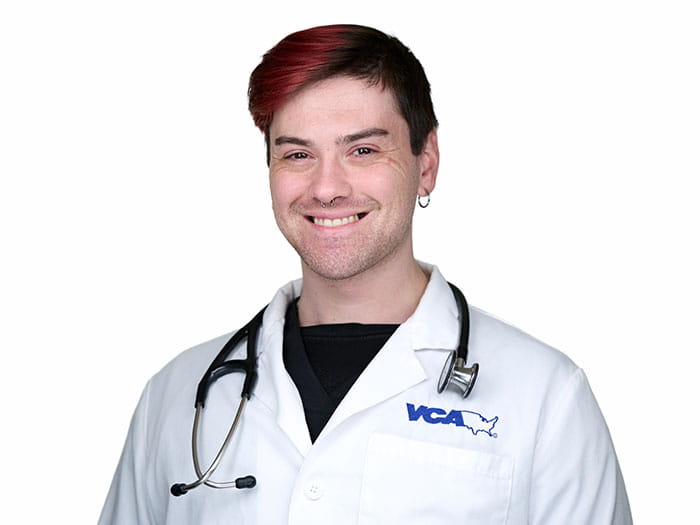 Dr. Joseph Ianniello Staff Photo