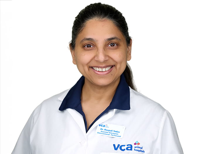 Dr. Roopali Yadav Staff Photo