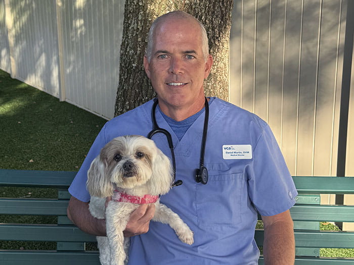 Dr. Daniel Martin Staff Photo