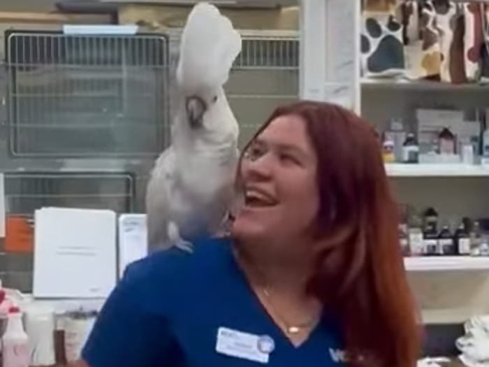 Nicole P. Staff Photo