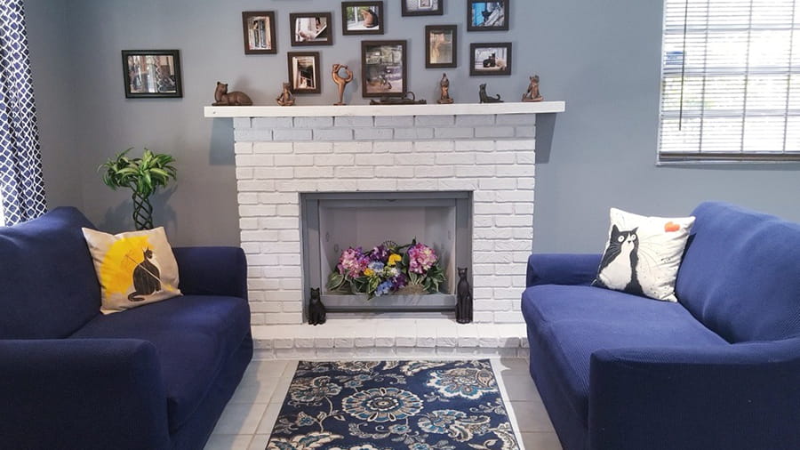 VCA Carrollwood Cat Hospital Lobby