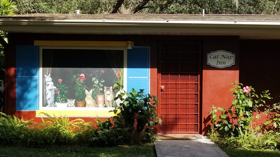 Cat Nap Inn at VCA Carrollwood Cat Hospital