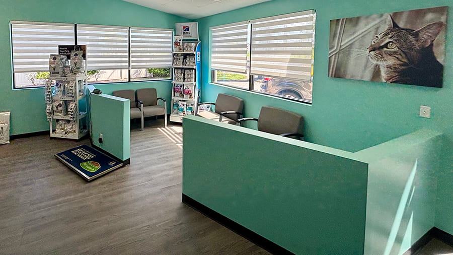 VCA Cypress Creek lobby