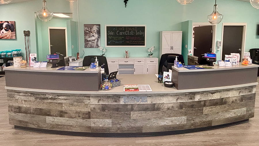 VCA Cypress Creek lobby