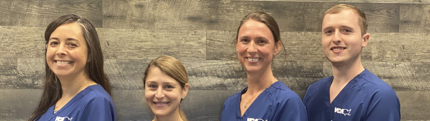 /-/media/2/vca/images/hospitals/united-states/florida/cypress-creek/staff/1440x405_cypress-creek_ourteam.jpg?rev=83771722df424f53930861ee85a00973