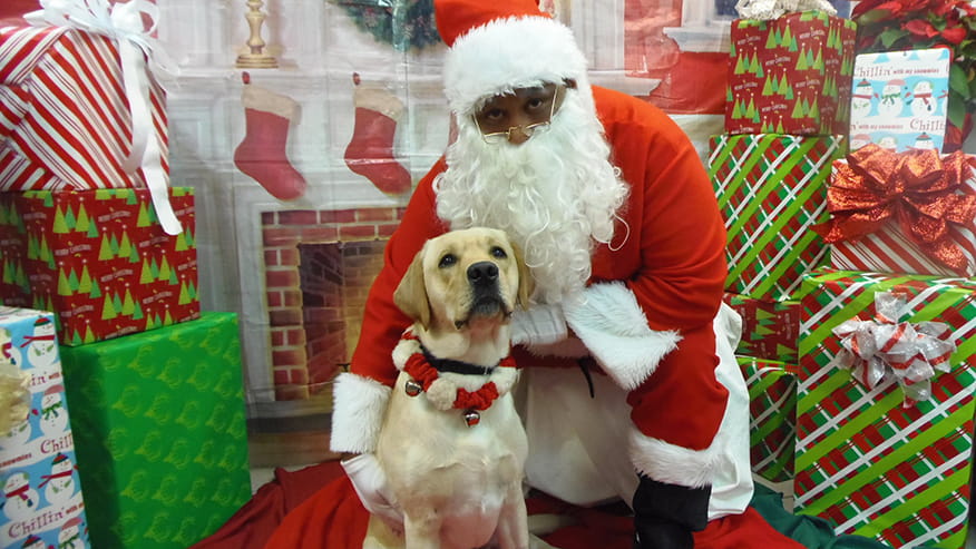 Pet Photos with Santa